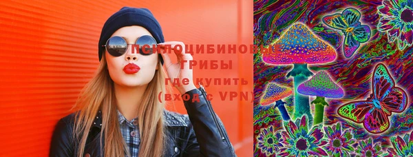 прущий лед Липки